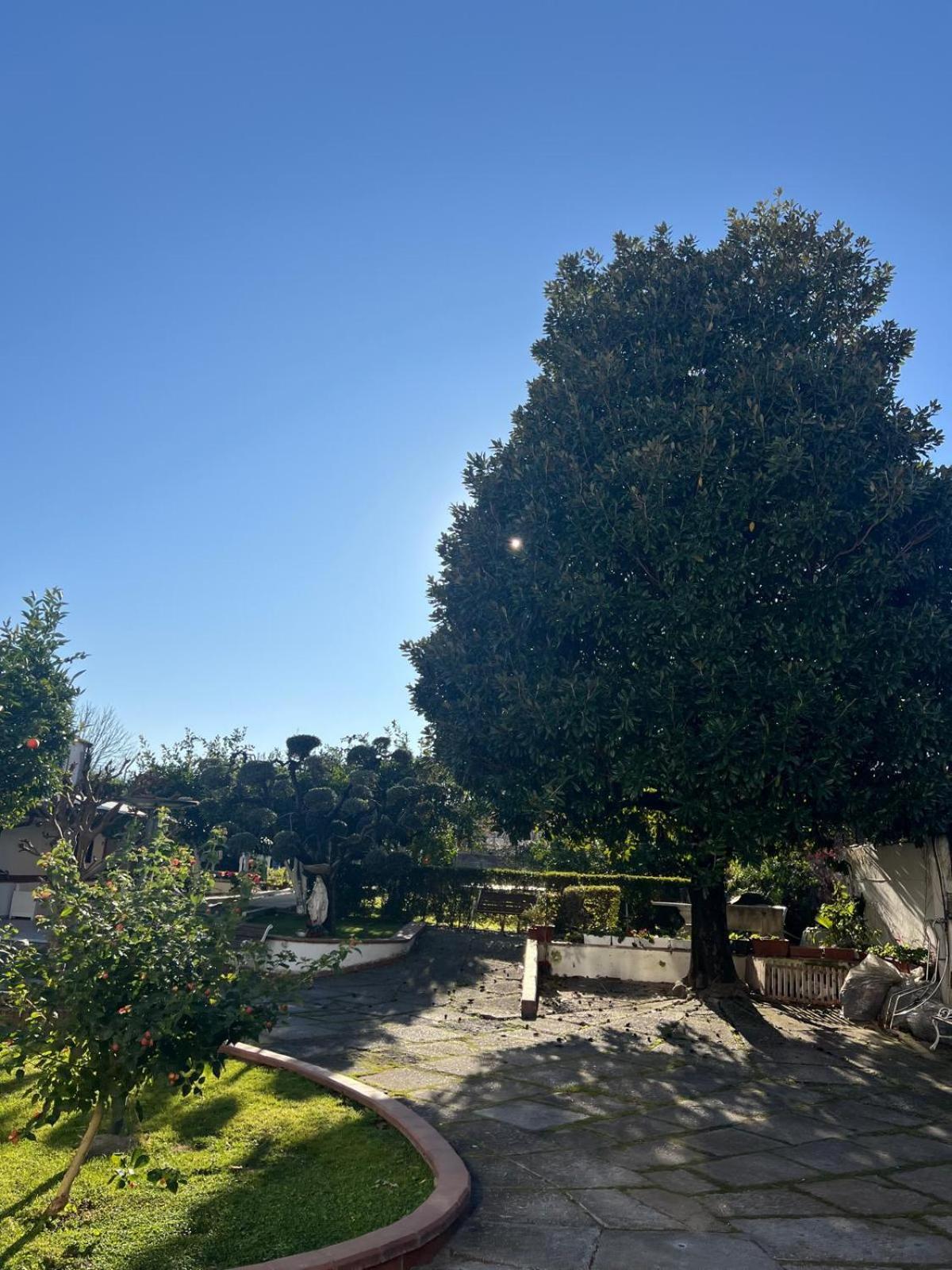 Maison Aielli 112 San Giuseppe Vesuviano Dış mekan fotoğraf